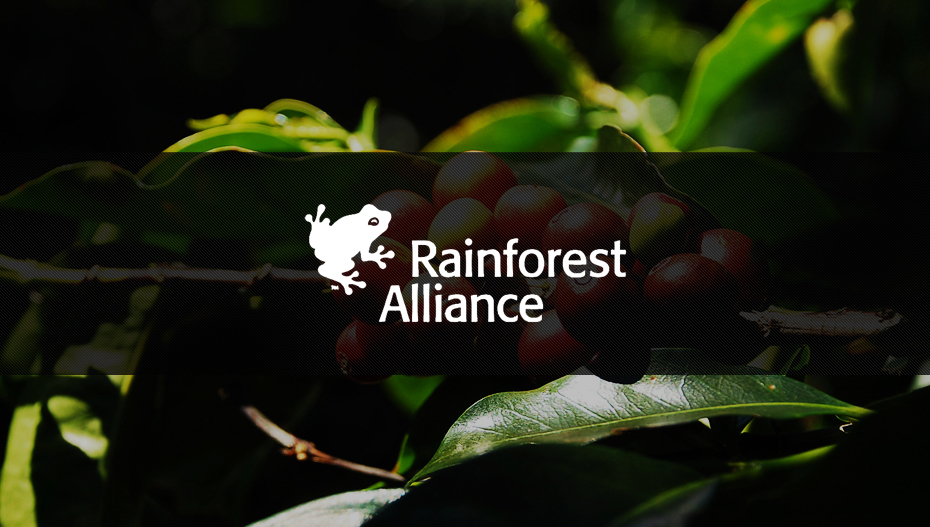 Nespresso y Rainforest Alliance, una alianza clave